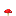 野採紅菇